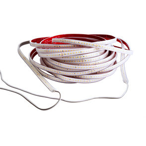 LED Stripes ab IP44 bei Elektroservice Höhnel GmbH in Altenberg